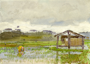 Image 2-8