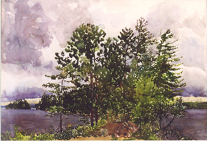 Image 5-4